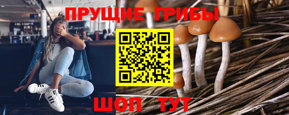 Псилоцибиновые грибы Cubensis Усть-Илимск