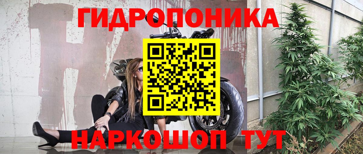 Каннабис White Widow  Конопля гибрид  Каннабис Ganja  Усть-Илимск  Вход с VPN 